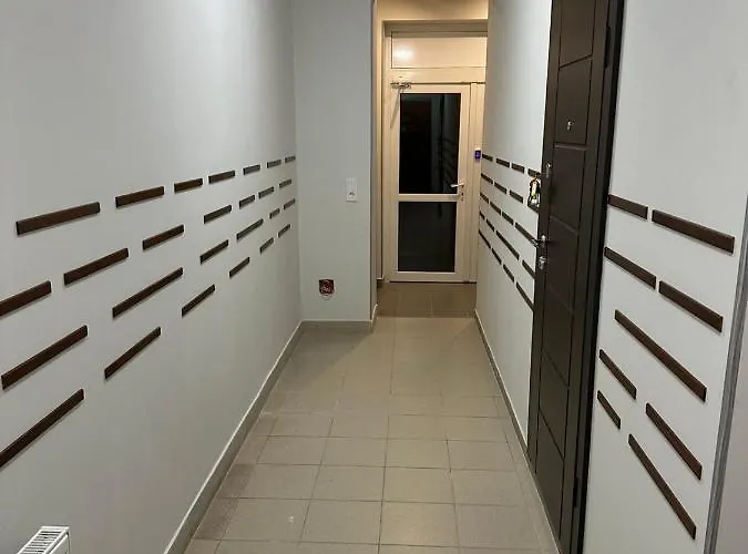 Modern אוזהורוד